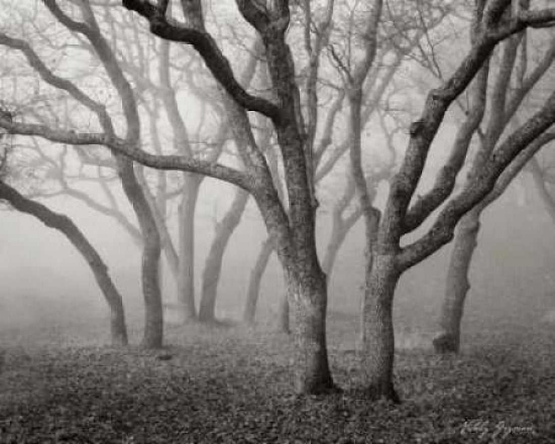 Misty Dance BandW Canvas Art - Vitaly Geyman (24 x 30)
