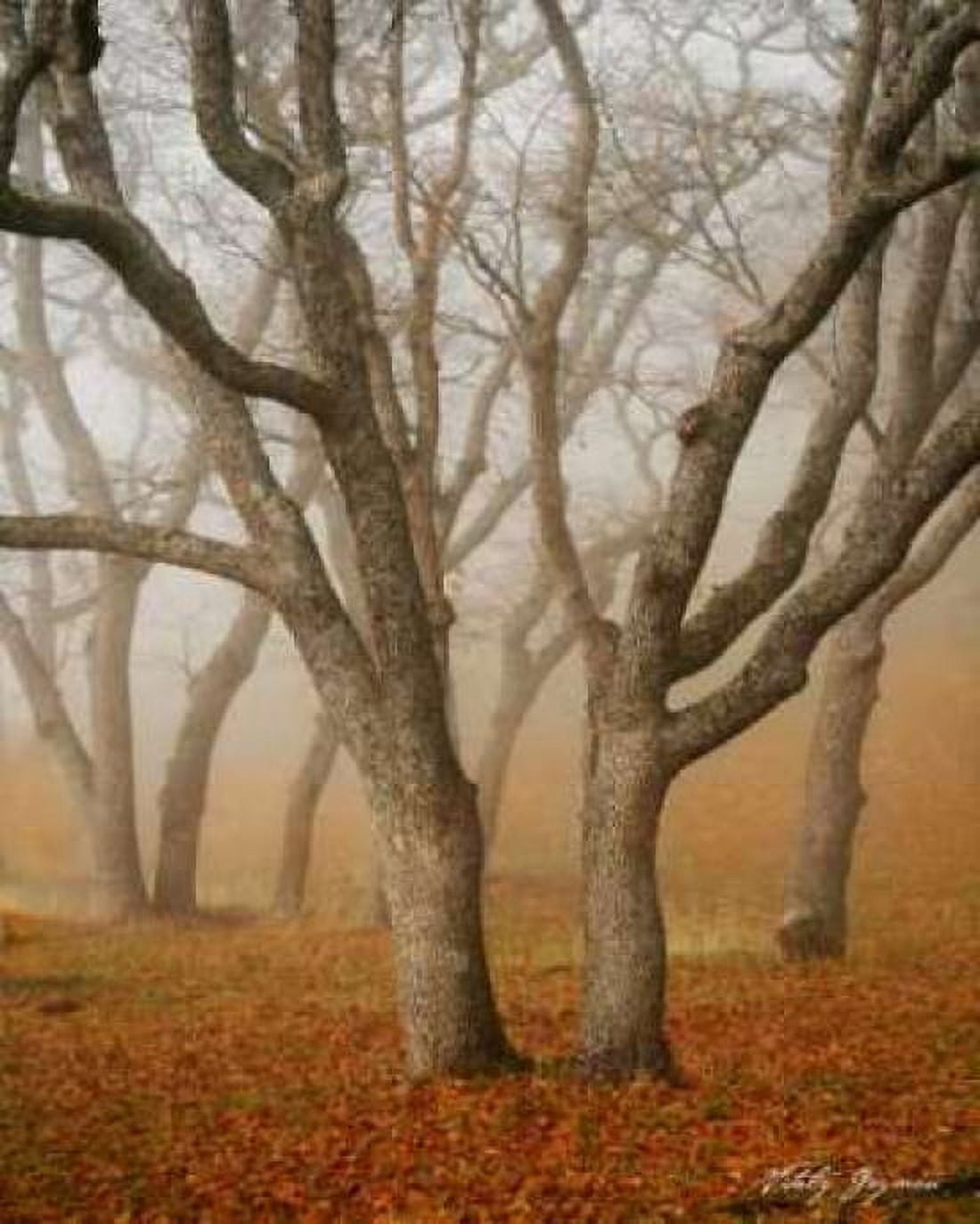 Misty Dance Canvas Art - Vitaly Geyman (24 x 30)