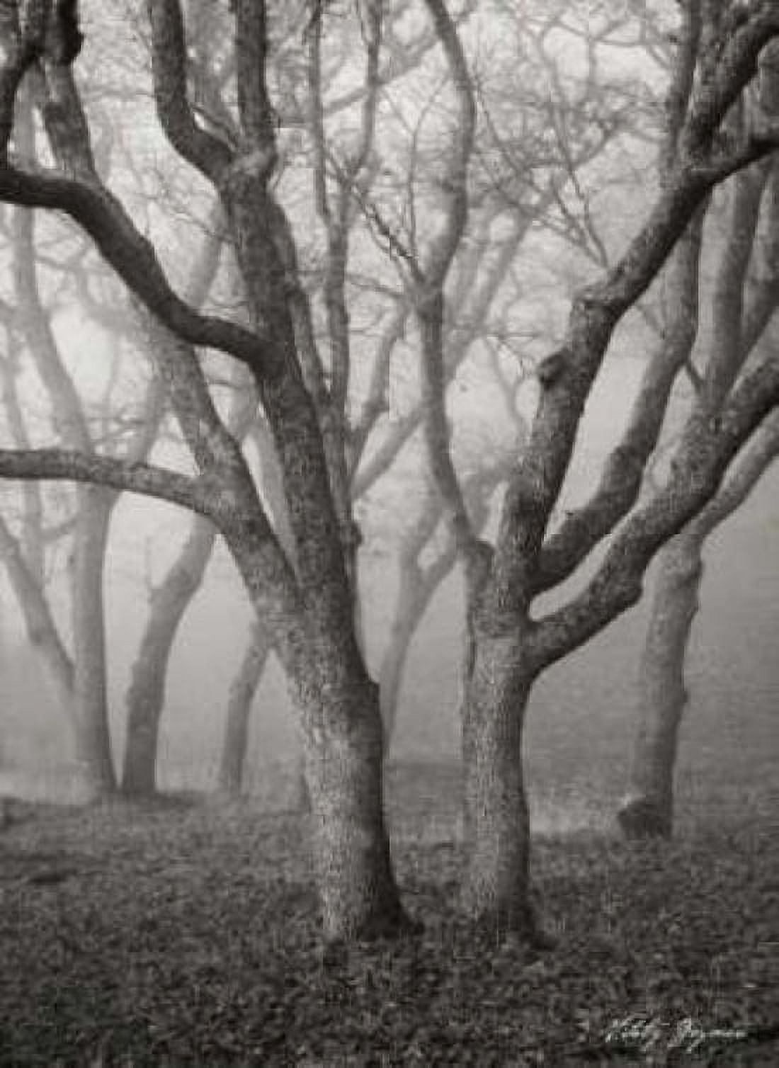 Misty Dance II BandW Canvas Art - Vitaly Geyman (18 x 24)