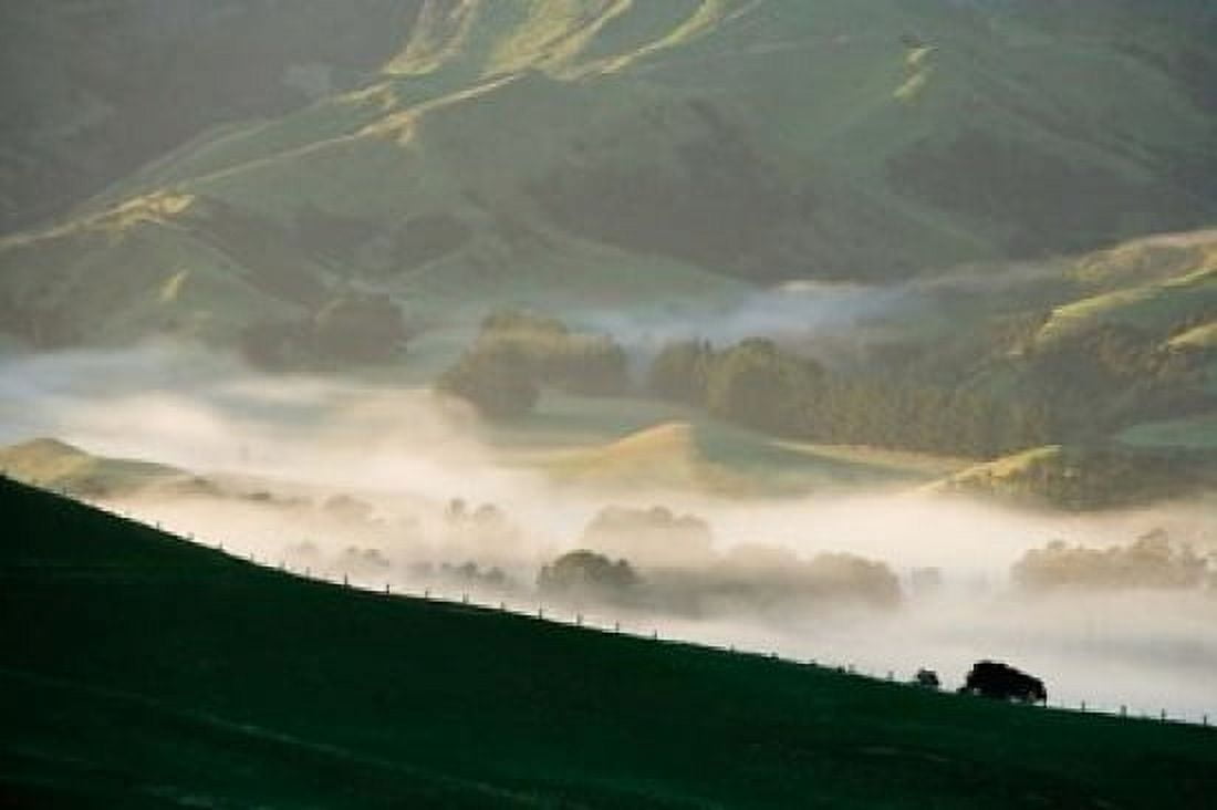Misty Farmland near Martinborough Wairarapa North Island New Zealand Canvas Art - David Wall DanitaDelimont (34 x 23)