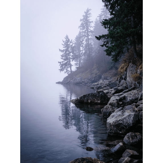 Misty Forest Lake Landscape Canvas Print, Suitable for Living Room, Bedroom, Office, Hotel, Cafe, Entryway Wall Decor