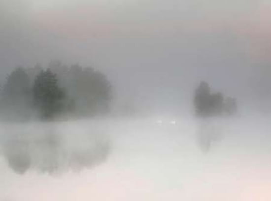 Misty Morning Canvas Art - Bjorn Emanuelson (18 x 24)