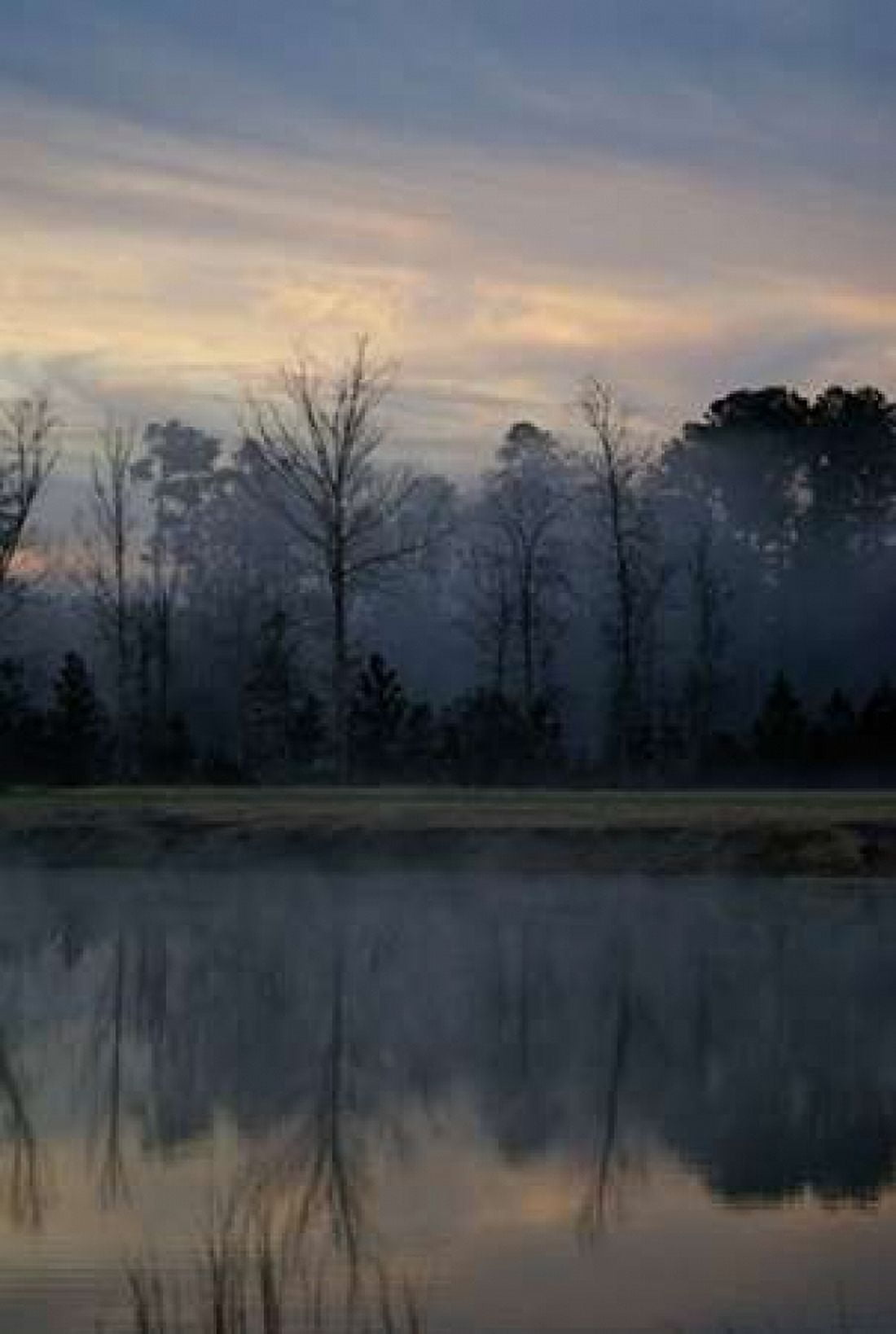 Misty Morning Canvas Art - Denise Romita (24 x 36)