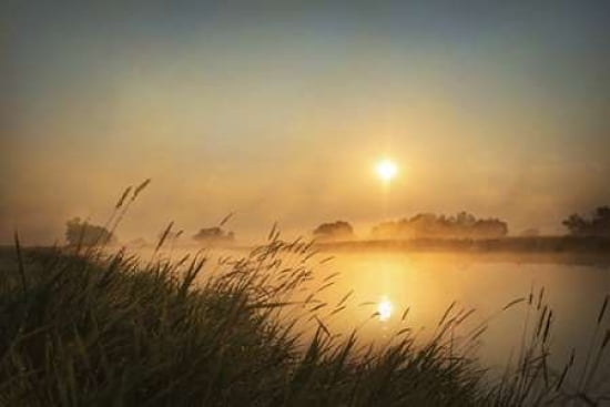 Misty Morning Canvas Art - Ramona Murdock (24 x 36)