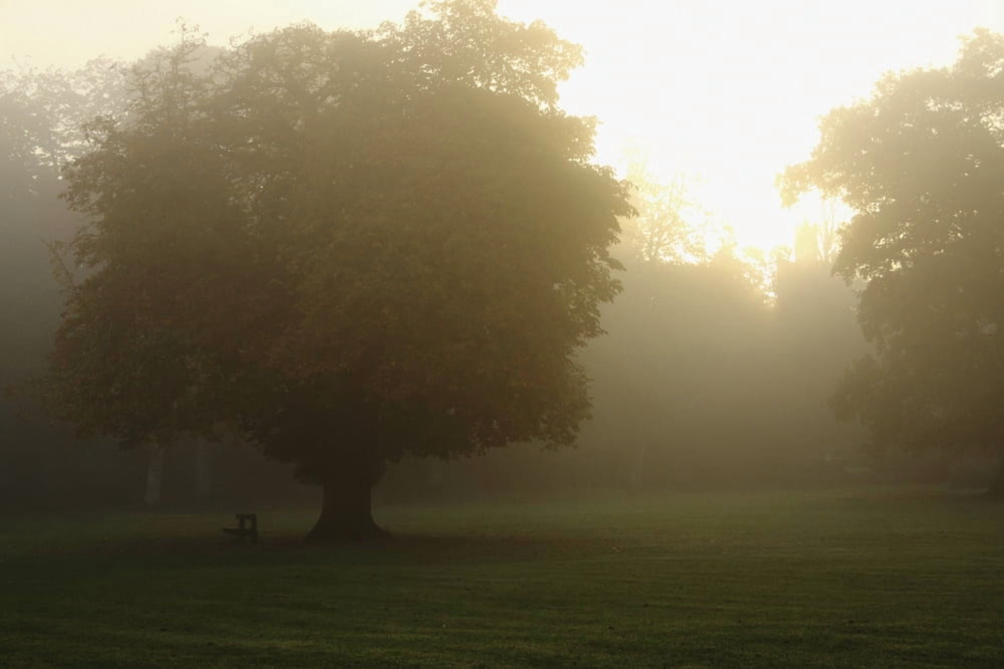 Misty Morning In Cahir In The Munster Region County Tipperary Ireland Canvas Art - Trish Punch Design Pics (19 x 12)