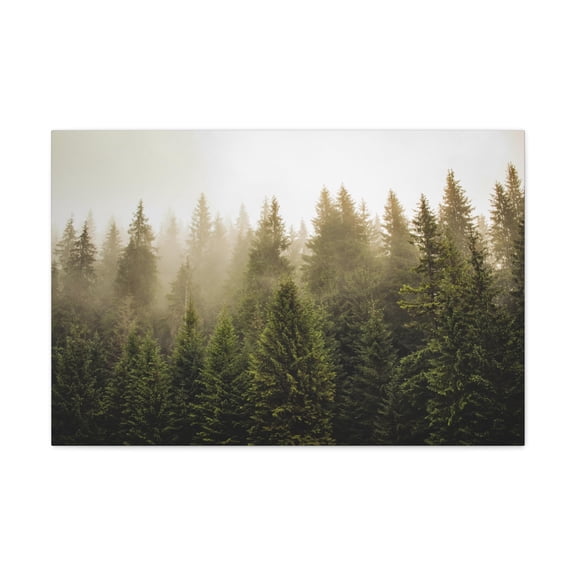 Misty Pine Tree Forest Nature Wilderness Photography Canvas Wall Art for Home Decor Ready-to-Hang