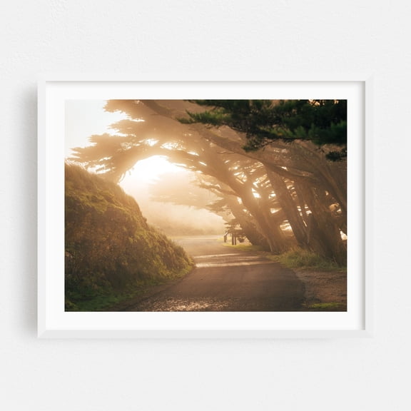 Misty Point Reyes - Point Reyes Station California Photography White Framed Wall Art Print 16 x 20 inches