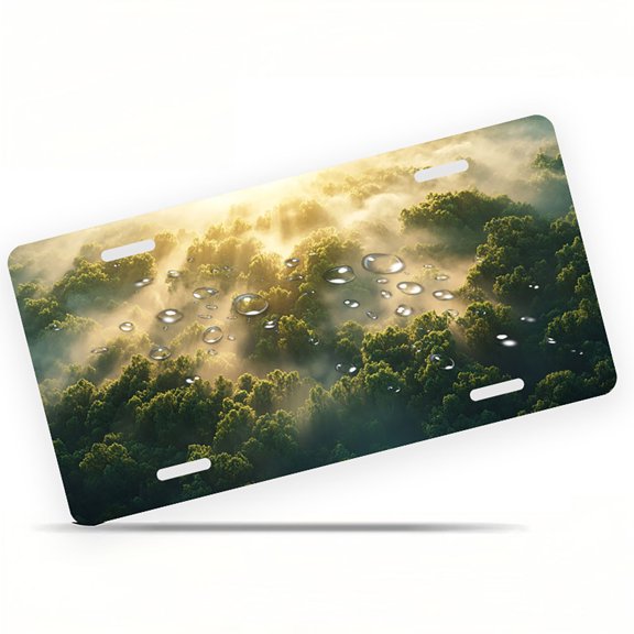 Misty Sunlit Forest Funny Personalized License Plate Rust-proof Stainless Steel Metal License Plate Suitable For Men And Women 12.2" x 6.2"