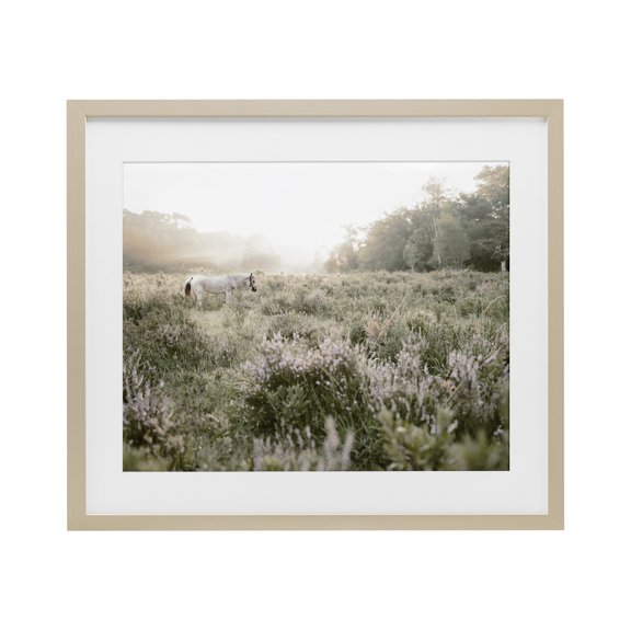 Stupell Industries Misty Sunset Horse Birch Framed Print Under Glass, design by Leah Straatsma, 17 x 21