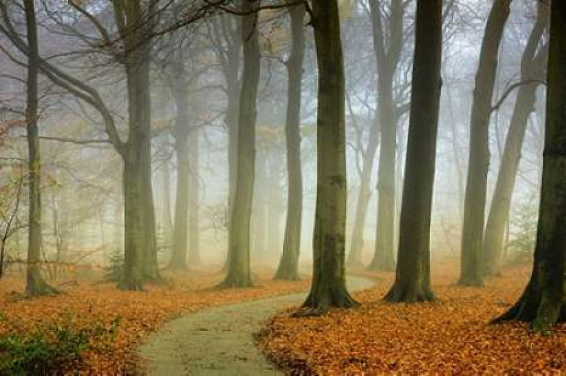 Misty Twisty Canvas Art - Lars Van de Goor (12 x 18)