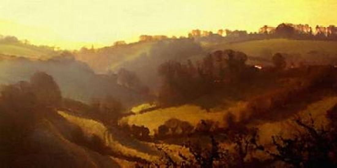 Misty Valley Canvas Art - Noah Bay (24 x 48)