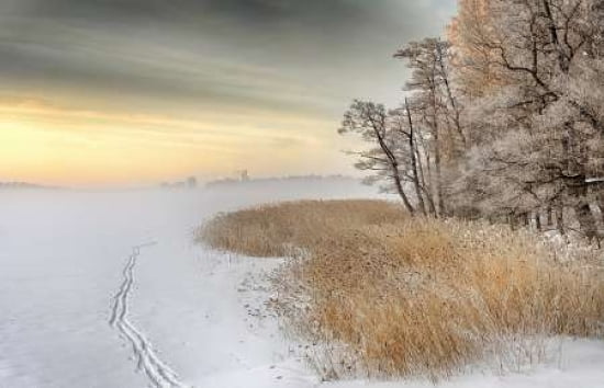 Misty Winter Morning Canvas Art - Keijo Savolainen (12 x 18)