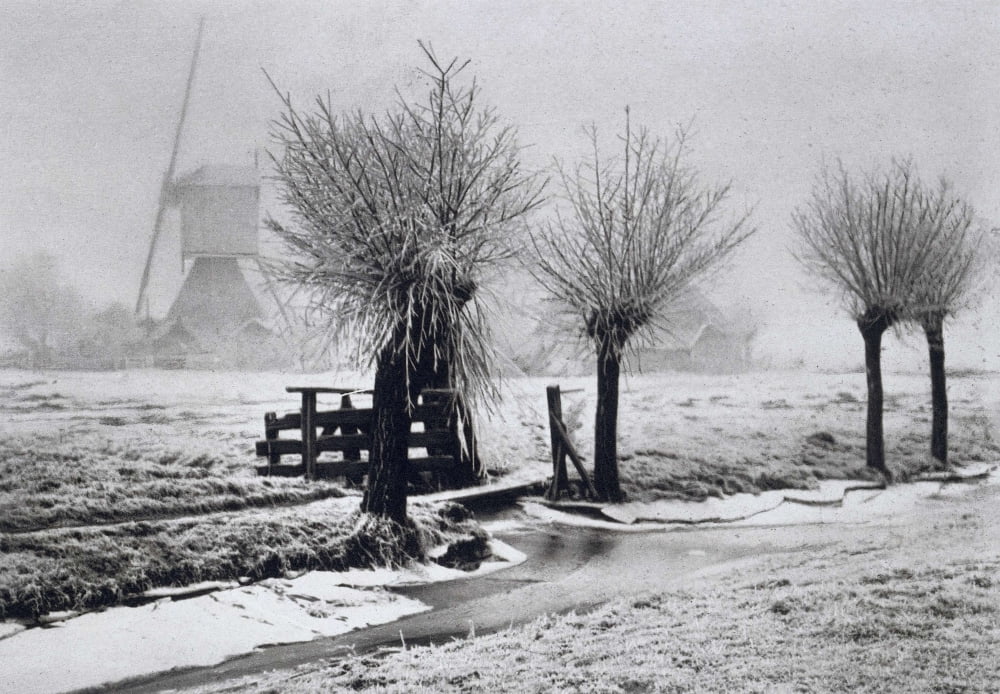 Misty Winterday Canvas Art - (36 x 24)