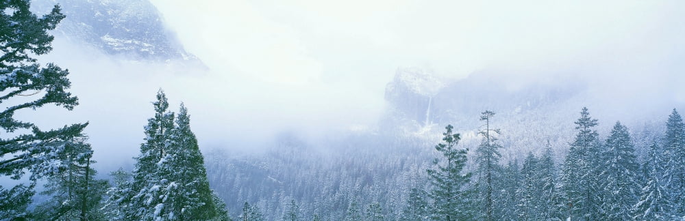 Misty mountains in Yosemite Valley California Canvas Art - Panoramic Images (36 x 12)