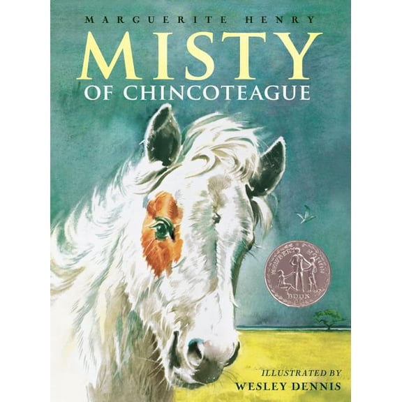 Pre-Owned Misty of Chincoteague