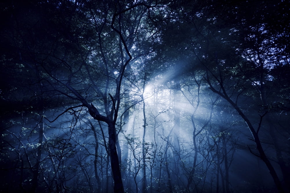 Misty rays in a dark forest Liselund Slotspark Denmark Canvas Art - Evgeny KuklevStocktrek Images (18 x 12)
