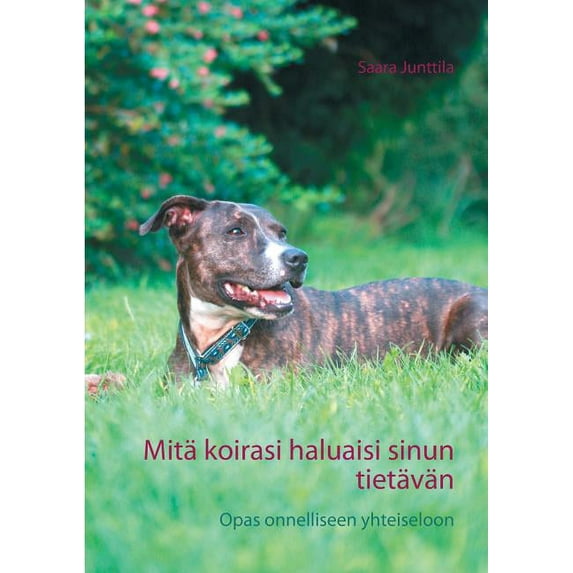 Mitä koirasi haluaisi sinun tietävän: Opas onnelliseen yhteiseloon, (Paperback)