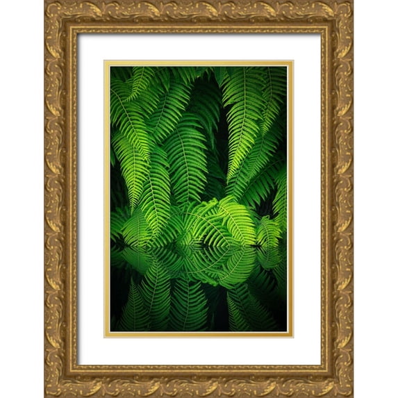 Mitamura, Takeshi 17x24 Gold Ornate Wood Framed with Double Matting Museum Art Print Titled - Beauty In Nature