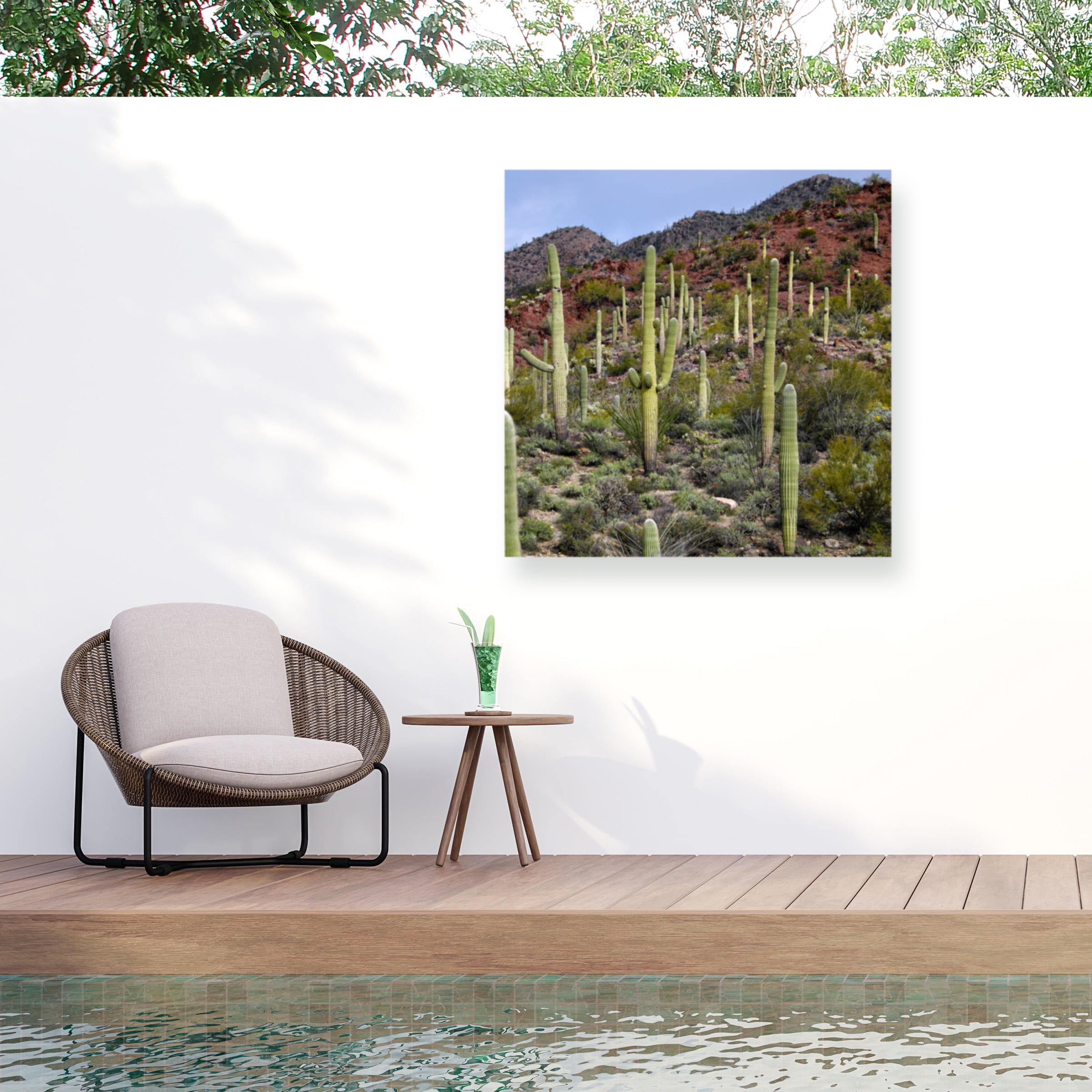Mitch Catanzaro 'Santa Catalina Mountains' Outdoor Canvas