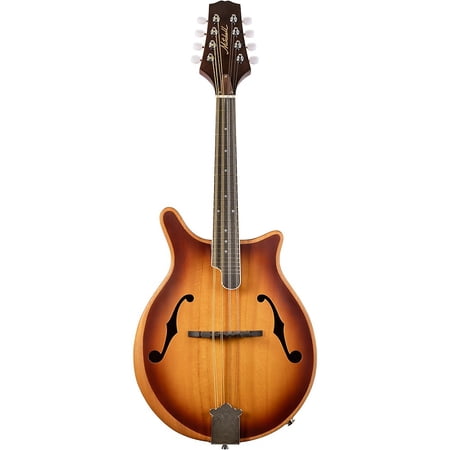 DM200E Double Cut Acoustic Mandolin -