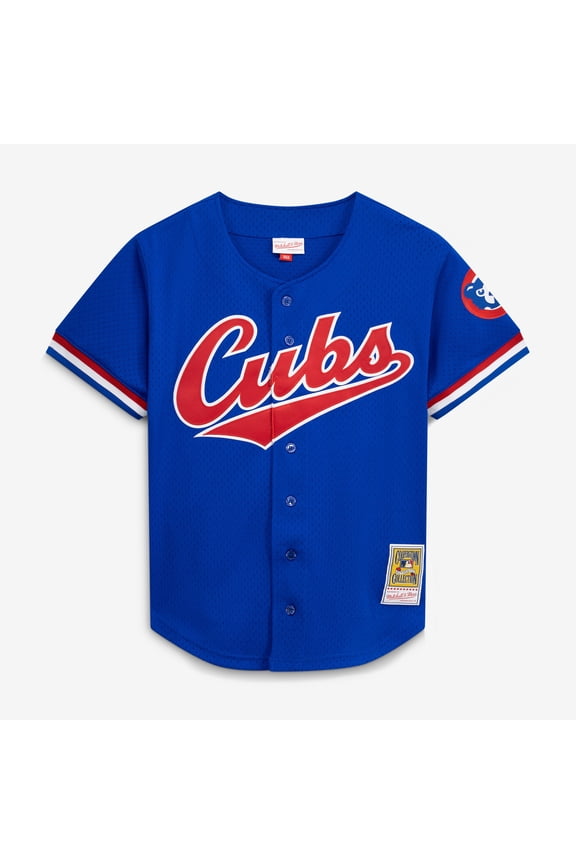 Men's Mitchell & Ness Ryne Sandberg Royal Chicago Cubs Cooperstown Collection 1996 Mesh Batting Practice Button-Up