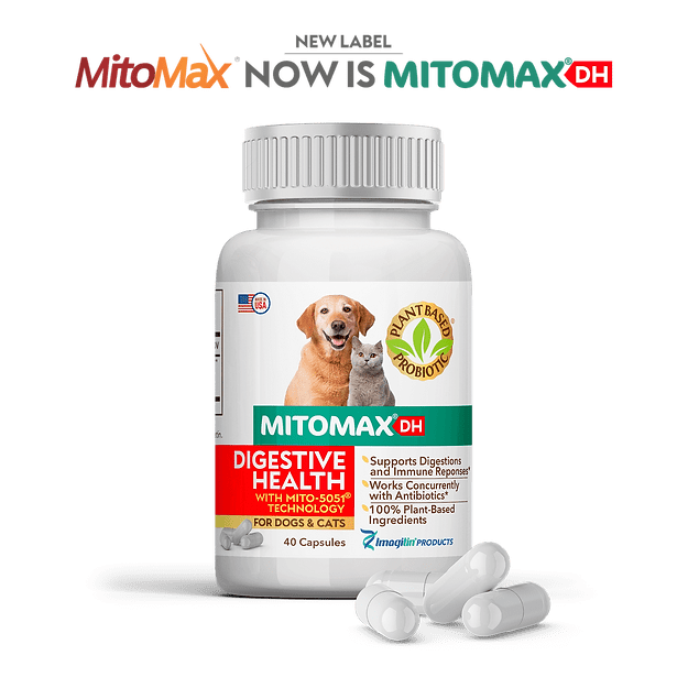 MitoMax DH 40ct - Walmart.com