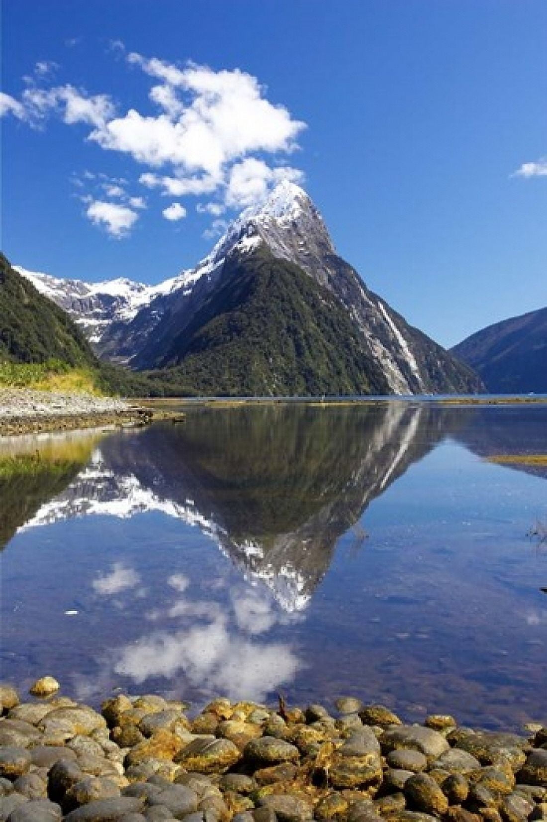 Mitre Peak Milford Sound Fjordland National Park South Island New Zealand Canvas Art - David Wall DanitaDelimont (24 x 36)