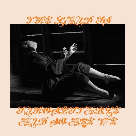 Mitski - The Land Is Inhospitable and So Are We - Music & Performance - Cassette