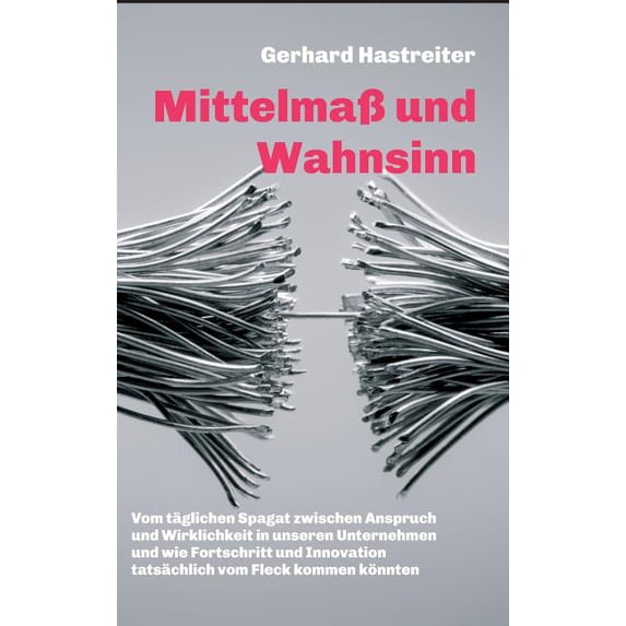 Mittelma und Wahnsinn German Edition Hardcover 3748224192 9783748224198 Gerhard Hastreiter