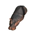 thumbnail image 1 of Miulika Floating Resin Animal Figurine Waterproof Statue for Outdoor Backyards Patio Hippo, 1 of 8