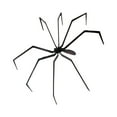 thumbnail image 1 of Miulika Halloween Decorations Giant Spider Huge Spider,Realistic,Lightweight,Collectible,Realistic Animal Toy for Yard Indoor Outdoor, 1 of 9