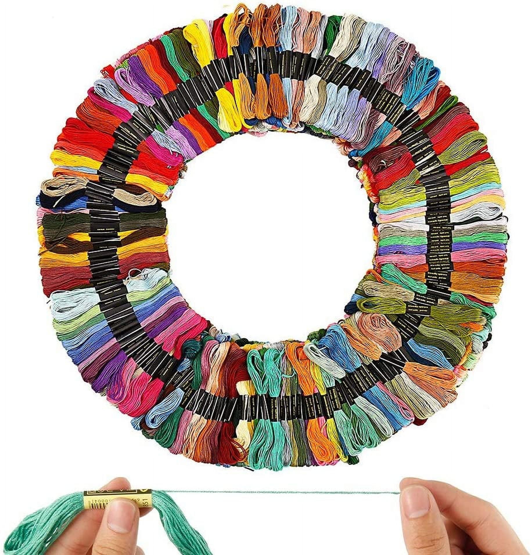 Embroidery Floss Thread Organizer, See-through Embroidery Thread Organizer  for 160 Skeins, Thread Storage, 10 Hangers for DMC Floss Storage 