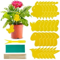 Miuline 59PCS Sticky Fruit Fly Trap and Fungus Gnat Traps for Indoor And Outdoor, Protect The Plant, Non-Toxic And Odorless