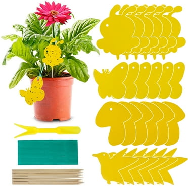 Miuline 59PCS Sticky Fruit Fly Trap and Fungus Gnat Traps for Indoor And Outdoor, Protect The Plant, Non-Toxic And Odorless