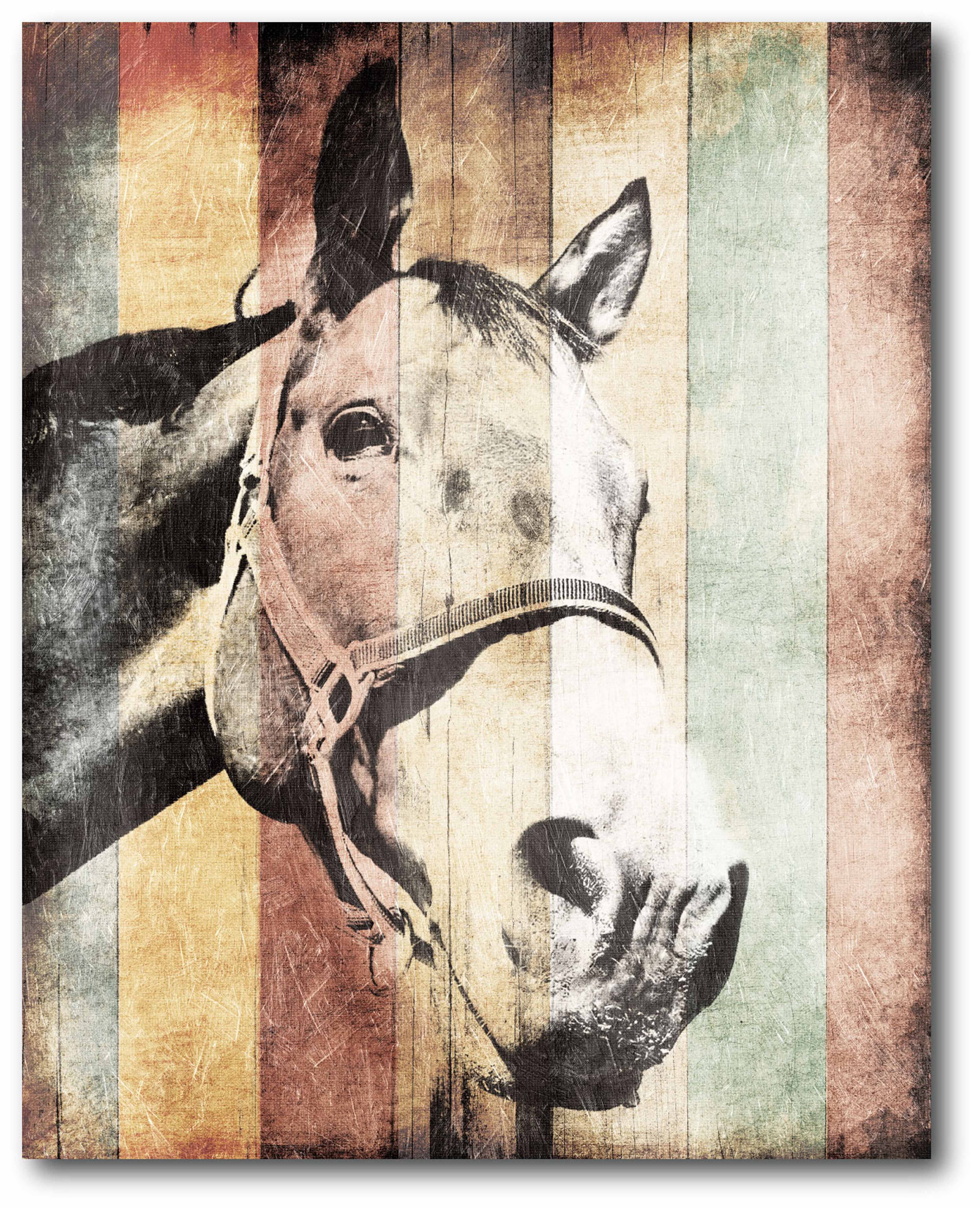 Miultiwood Vintage Horse Gallery-Wrapped Canvas Wall Art, 16x20