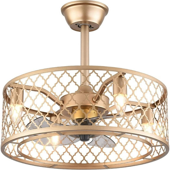Miumaeov 20 Inch Caged Ceiling Fan with Lights 3 Speeds Adjustable Iron Ceiling Fan with Remote Control Golden Semi Enclosed Industrial Lighting Fixture for Dining Room Living Room