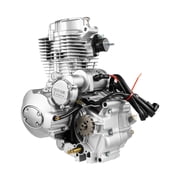 Miumaeov 250cc Engine Motorcycle Motor, 4-Stroke Gas Bike Engine Kit with Carburetor, Electric Start, Kick Start, for Dirt Bike, Go Kart, Scooter