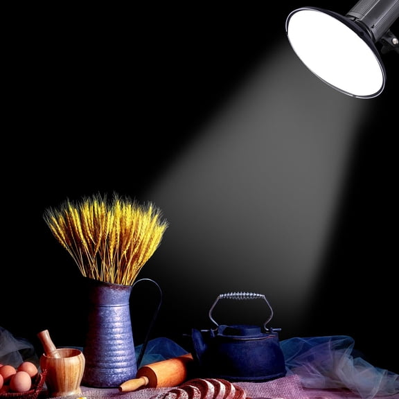 Miumaeov 42cm/16in Standard Reflector Beauty Dish Bowens Mount with White D-i-f-f-u-s-er Reflector Honeycomb Grid for Studio Photography Strobe Flash Light