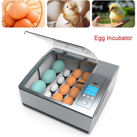 Miumaeov AC110V/DC12V 16-Egg Automatic Incubator, Smart Household Mini Chicken Egg Water Bed Incubator Box Incubator, Automatic Turner with Temp Control