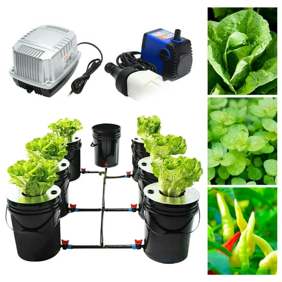 Miumaeov DWC Hydroponics Growing System 5 Gallon 7 Buckets Recirculating Deep Water Culture Growing Kit W/ Pump