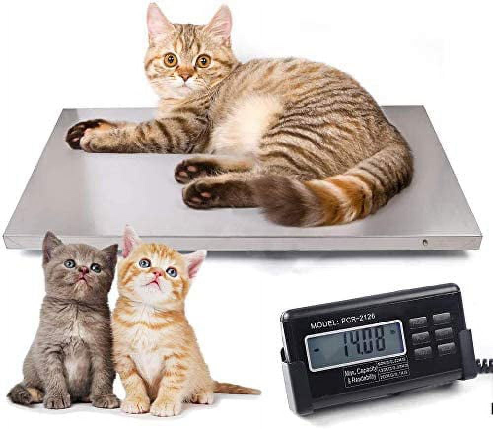 https://i5.walmartimages.com/seo/Miumaeov-Digital-660Lbs-Livestock-Scale-Large-Pet-Vet-103X53cm-Stainless-Steel-Platform-Electronic-Heavy-Duty-Dog-Cat-Scale-Power-Adapter_1e40a628-2013-41cf-b868-33d75390e0ad.07785f365f85fecb7dff38a2c6bfd32b.jpeg