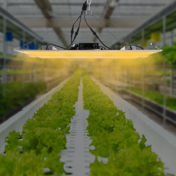 Miumaeov LED Grow Light, Indoor Grow Lamp for Plants, Flower Bloom, Dimmable & Daisy Chain, Grow Tent, Full Spectrum LM301B and Meanwell Driver