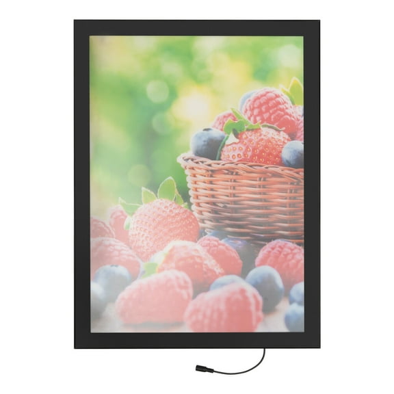 Miumaeov LED Movie Posters Frame 16.9" x 23.2" Photo Frame LED Light Box Display Sign Holder Wall Mounted Aluminum Magnetic Frame for Movie Poster Advertising Display