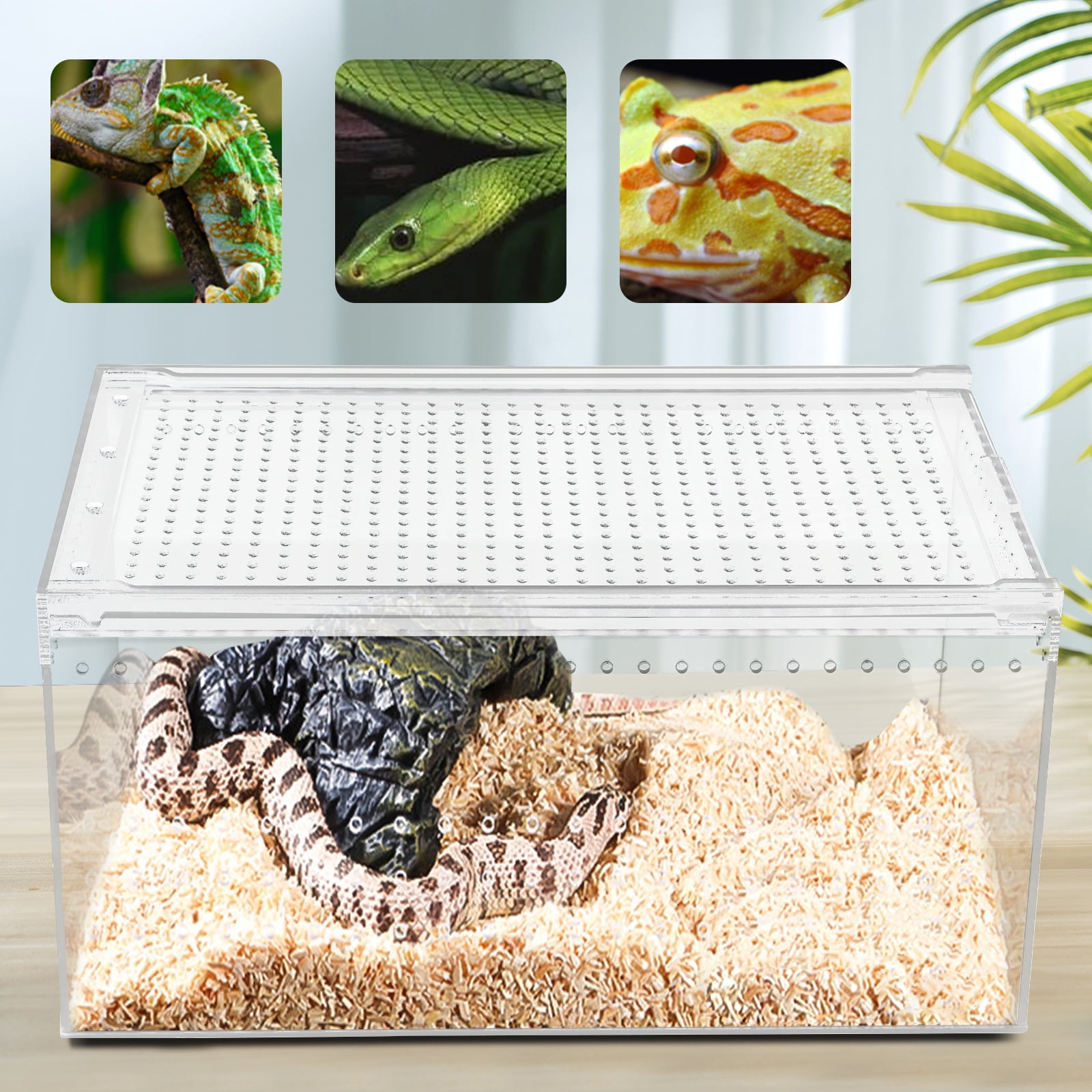 Miumaeov Magnetic Acrylic Large Enclosure 2.5 Gallon, 12 x 8 x 6 Inch Reptile Breeding Box Terrarium Cage for Insect Tarantulas Amphibians Caterpillars Snail Clear Acrylic Reptile Feeding Box