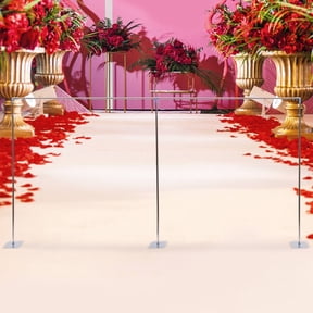 Miumaeov Photography Backdrop Heavy Duty Stand Kit Background Wedding 10ft x 20 ft