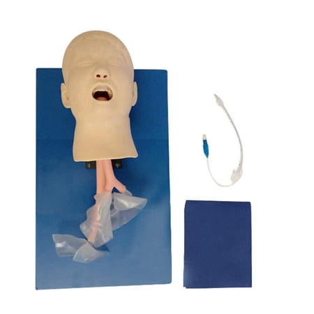 Miumaeov Teaching Model Intubation Manikin Child Model Airway Management Oral Nasal Training Study Tracheal Baby Care Teaching Simulator Model for Lab School Education
