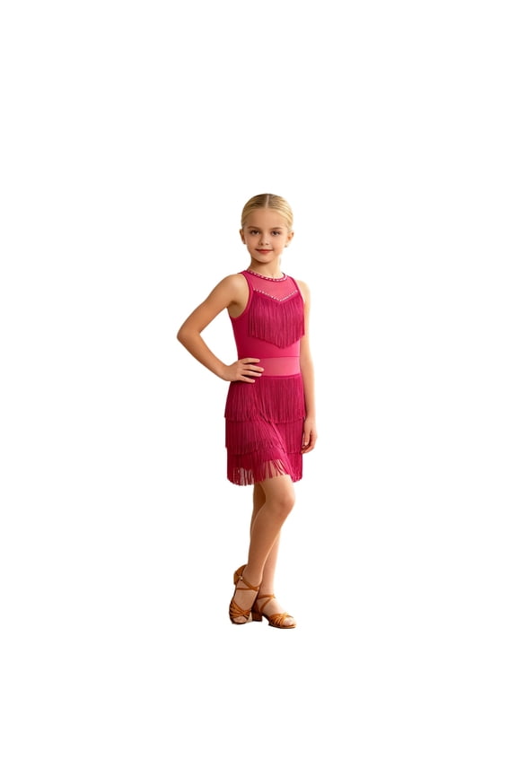 Shiny Tassle Latin Dance Dress for Girls Jazz Tango Practice Dancewear Skating Wear Ballroom Apparel Hot Pink 9-10