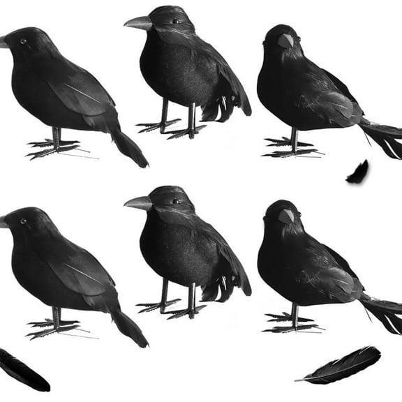 Miwamany 6pc Simulation Crow Decoration, All Saints Raven Props Figurine, Lifelike Fake Bird for Craft Wreath Garland Halloween Tree Branch Yard Display Decoration