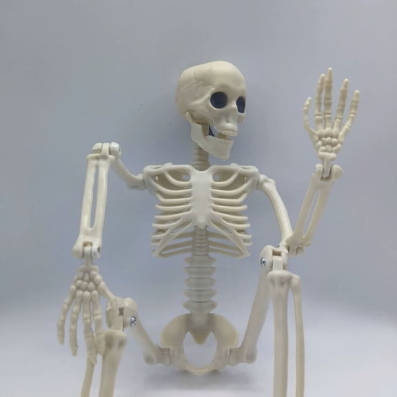 Miwamany Movable Joint Mini Skeleton Figurine, Plastic Human Model for Halloween Party, Home Decor, Spooky Tabletop Ornament for Indoor Shelf, Classroom Display