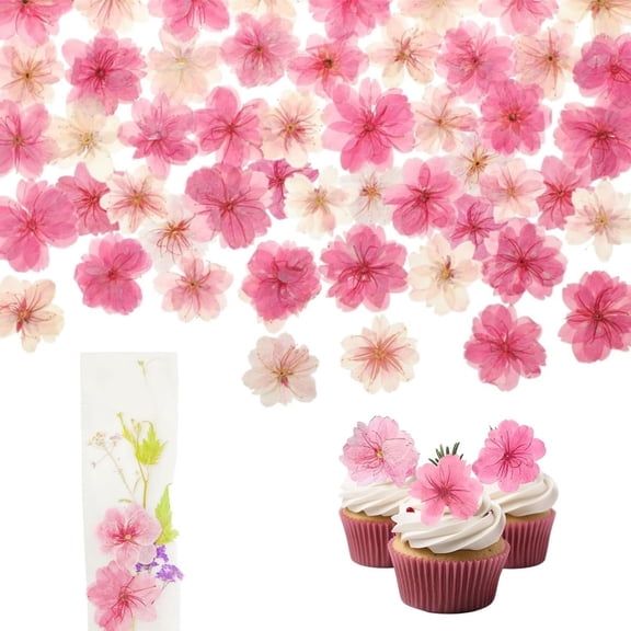 QZS Portable Real Dry Flower for Cake Decorating,Mix Cherry Blossom,48pcs Dried Pressed Flowers Decoration for DIY Art Crafts,Wedding
